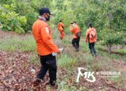 Hari ke-2, Kakek yang Hilang Dalam Hutan di Kolaka Belum Ditemukan