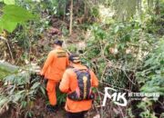 Sudah Hari ke-5, Kakek yang Hilang dalam Hutan di Kolaka Belum Ditemukan