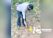 Polisi Selidiki Pelaku Pembuang Bayi Perempuan di Kebun Raya UHO