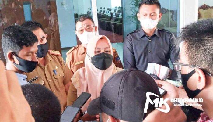 BPK RI Temukan Indikasi Masalah Pengadaan Mobil Dinas di Pemda Koltim