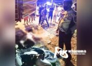 Kronologi Pengendara Motor Tewas Tabrak Truk Saat Malam Minggu di Kendari