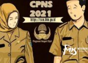 Seleksi CPNS 2021, BKD Sultra: Masih Tunggu Juknis