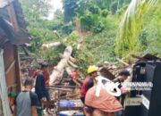 Rumah Warga di Kolut Rusak Parah Tertimpa Pohon Durian