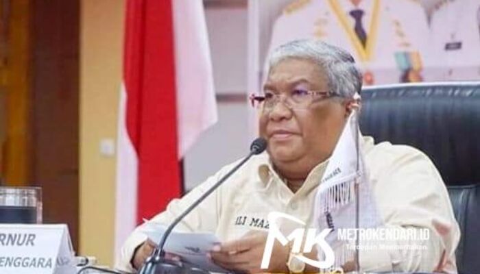 Tanggapan Ali Mazi Soal Puteranya Lolos Verifikasi di Musda KNPI Sultra