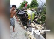 Truk Pengangkut Ribuan Ayam Potong Terbalik di Kolut, 2 Korban Luka-luka