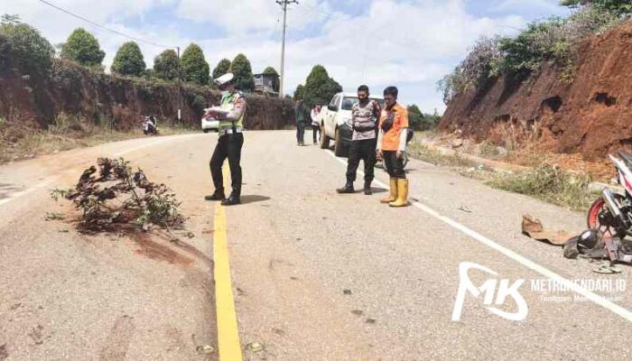 Kecelakaan Maut, Pengendara Motor Tewas Terlindas Mobil Hilux di Kolut