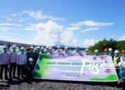 Peduli Lingkungan, PT DSSP Power Kendari Tanam 10.000 Bibit Mangrove