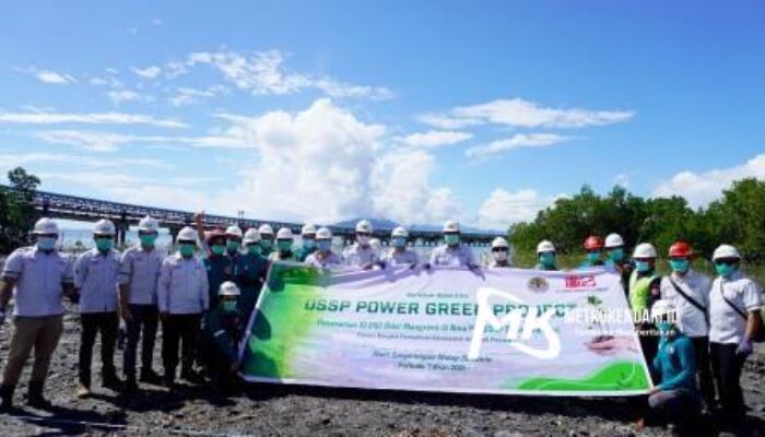 Peduli Lingkungan, PT DSSP Power Kendari Tanam 10.000 Bibit Mangrove