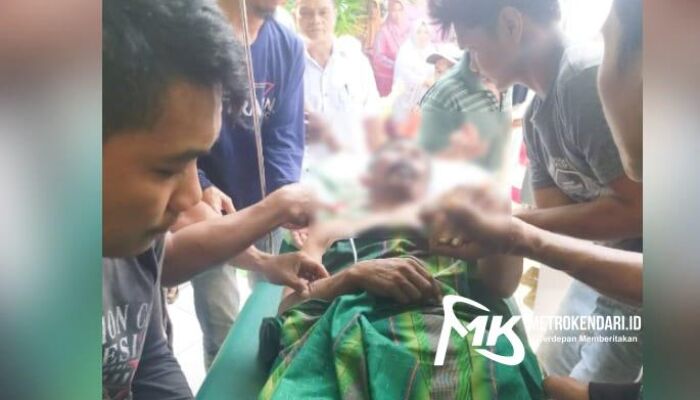 Seorang Warga di Kolaka Utara Kritis Usai Jatuh dari Pohon