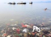 Nenek Pemburu Sampah Plastik Di Pesisir Teluk Kendari