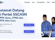 Penerimaan CPNS 2021 di Sultra Resmi Dibuka, Ini Daftar Formasinya