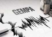 Breaking News: Gempa Bumi Berkekuatan 4,2 SR Guncang Wilayah Konkep