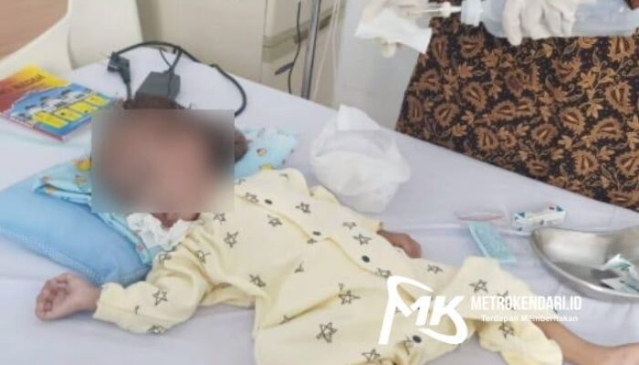 Fahril, Balita Penderita Tumor Asal Buton Butuh Uluran Tangan