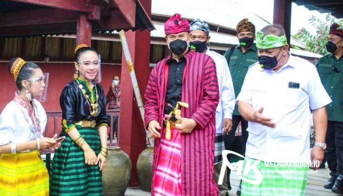 Andi Sumangerukka Diberi Gelar Adat Panglima Perang Tertinggi Oleh Tokoh Adat Wakatobi