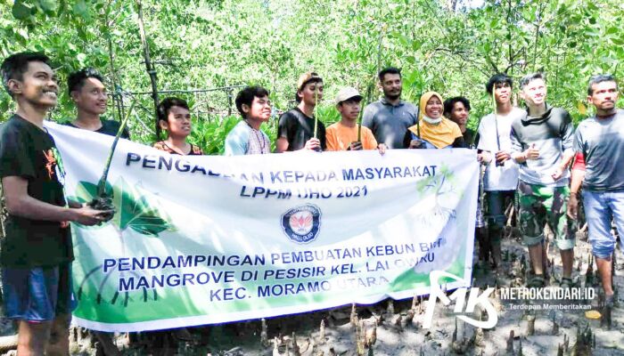 Terobosan Kampus UHO, Latih Masyarakat di Konsel Bisnis Bibit Mangrove