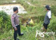 Kronologi Mobil Agya Terjun ke Jurang di Jalan Boulevard Kendari