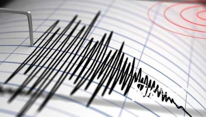 Sebelum Kota Kendari, Gempa Bumi Juga Terjadi di Laut Banda Maluku