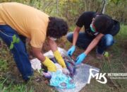 Tega! Bayi Baru Lahir Dibuang di Semak-semak Sampai Meninggal di Baubau