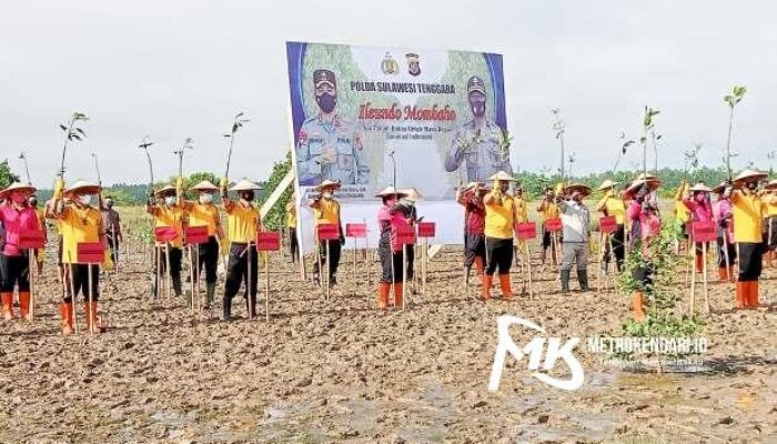 Jaga Ekosistem Alam, Polda Sultra Tanam 2000 Bibit Mangrove di Teluk Kendari