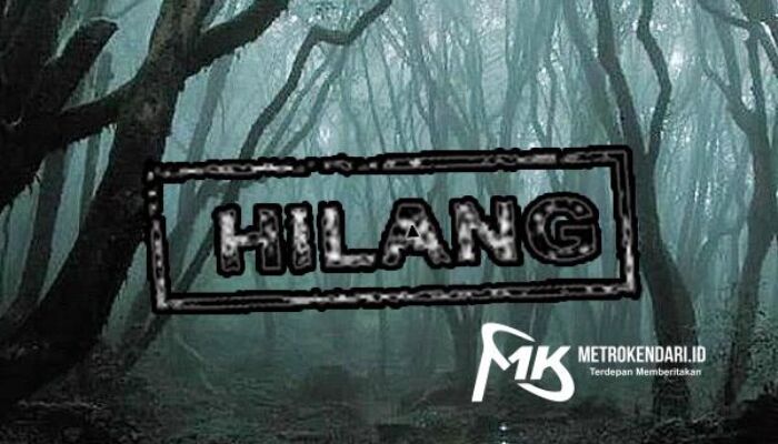 Cek Pohon Sagu, Seorang Kakek di Konawe Hilang Misterius Dalam Hutan