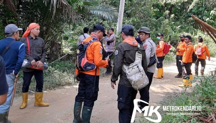 Memasuki Hari Ketiga, Kakek yang Hilang Dalam Hutan di Konawe Belum Ditemukan