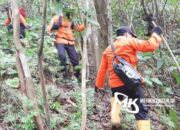 Kakek Asal Konawe yang Hilang di Hutan Dikabarkan Meninggal Dunia