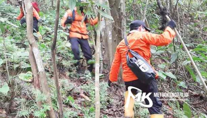 Kakek Asal Konawe yang Hilang di Hutan Dikabarkan Meninggal Dunia