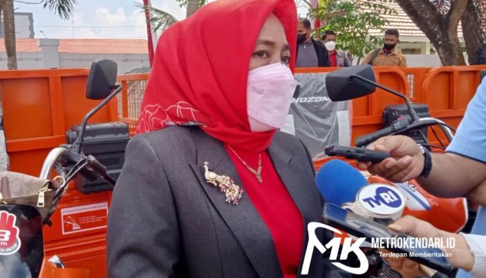 Tegur Keras Pendirian Pasar Mokoau, DLHK Kendari: Kawasan Itu Bisa Kumuh