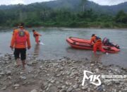 Diduga Diterkam Buaya, Seorang Warga di Konut Hilang di Sungai