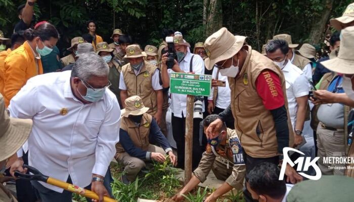 AMI RI Bersama Pemprov Sultra Gelar Penanaman Pohon yang Hampir Punah