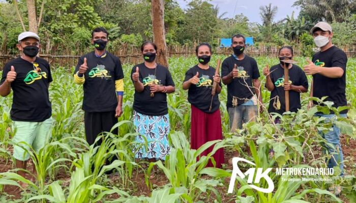 Petani Jagung di Muna Taruh Harapan Besar ke Andi Sumangerruka