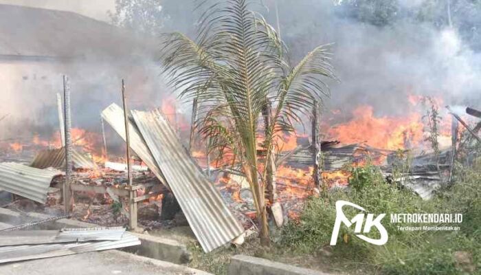 Breaking News: Bangunan Kos-kosan Mahasiswa di Kambu Ludes Terbakar