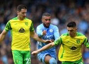 Hasil Pertandingan Norwich vs Man City di Liga Inggris