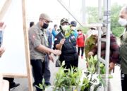 Jelang HPN, Menteri LHK Tinjau Lokasi Penanaman Mangrove Presiden di Kendari