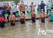 Pesisir Teluk Kendari Ditanami Puluhan Ribu Bibit Mangrove Saat Puncak HPN 2022