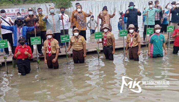 Pesisir Teluk Kendari Ditanami Puluhan Ribu Bibit Mangrove Saat Puncak HPN 2022