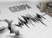 Breaking News: Gempa Bumi 4,9 SR Guncang Wilayah Kota Kendari