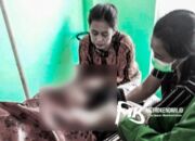 Sadis! Seorang Anak di Konsel Tega Gorok Leher Ibu Kandungnya Hingga Tewas