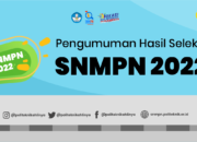 Link Pengumuman SNMPN 2022, Cek Cara Lihat Hasilnya Disini