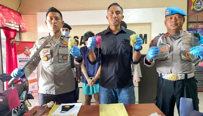 Satu Persatu Komplotan Pelaku Penyerangan Apotek di Puuwatu Ditangkap Polisi