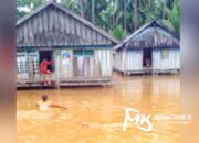 Rumah Warga di Tiga Desa di Muna Nyaris Tenggelam Akibat Banjir