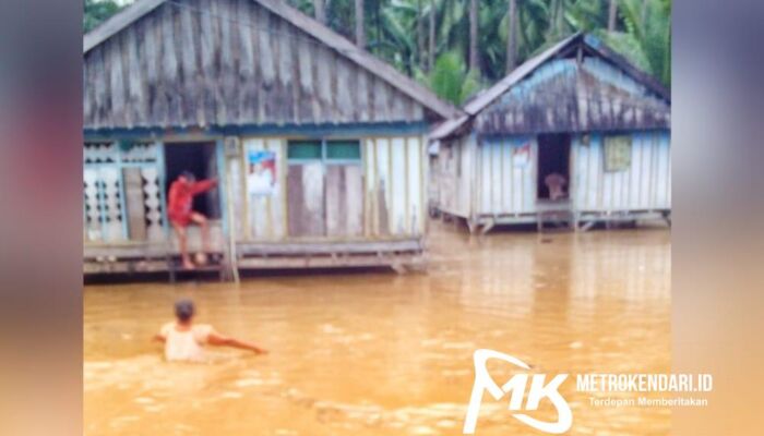 Rumah Warga di Tiga Desa di Muna Nyaris Tenggelam Akibat Banjir