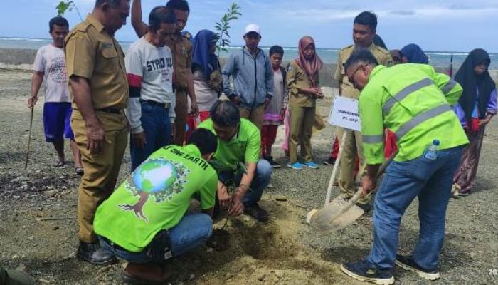 Peduli Lingkungan, PT GKP Lakukan Penanaman Pohon di Sekitar Lokasi Tambang di Wawonii