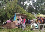 Breaking News: Seorang Bayi Nyaris Tertimpa Pohon Tumbang di MTQ Kendari