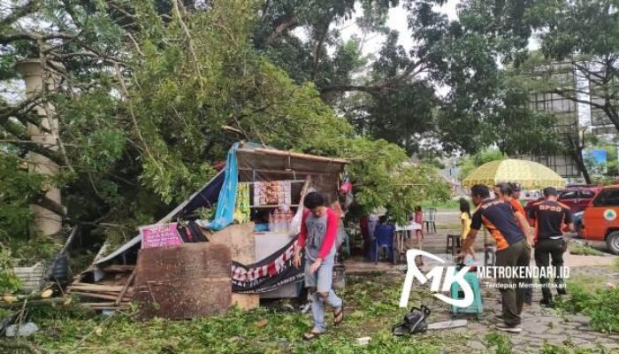 Breaking News: Seorang Bayi Nyaris Tertimpa Pohon Tumbang di MTQ Kendari