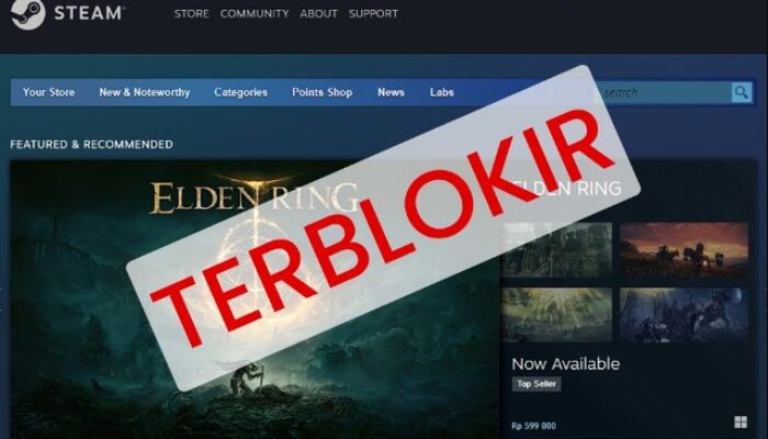 Epic Games, Steam, Dota Hingga Paypal Resmi Diblokir Kominfo