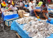 Harga Ikan Terbaru di Pelelangan Sodoha Kendari Hari Ini