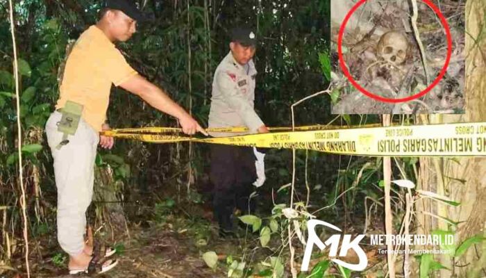 Geger Penemuan Tengkorak Manusia di Kolaka, Mengejutkan Polisi Temukan Benda Ini