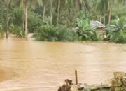 Banjir Mulai Rendam Wilayah Langgikima Konawe Utara, Warga Bersiaga