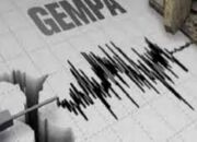 Gempa Bumi 3,6 SR Guncang Kendari, BMKG: Pusat Gempa di Moramo Utara